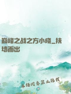 巅峰之战之方小晓