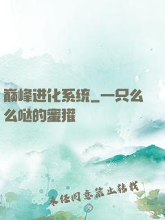 巅峰进化系统