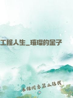 工程人生