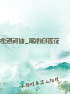 左道问仙