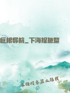 巨根导航
