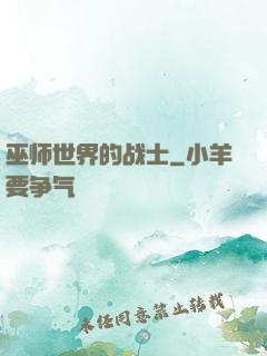 巫师世界的战士