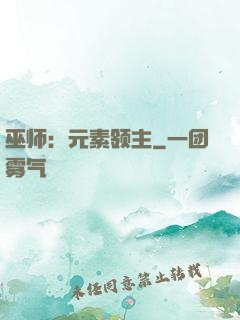 巫师：元素领主