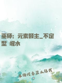 巫师：元素领主