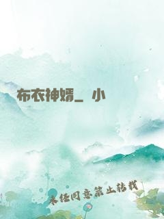 布衣神婿