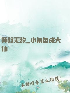 师叔无敌