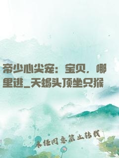 帝少心尖宠：宝贝，哪里逃