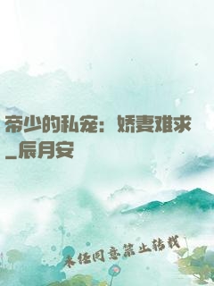 帝少的私宠：娇妻难求