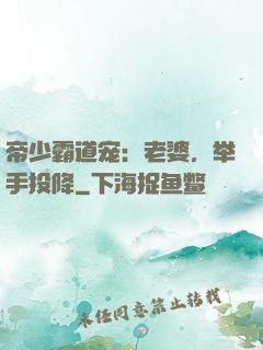 帝少霸道宠：老婆，举手投降