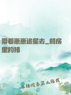 带着崽崽追星去