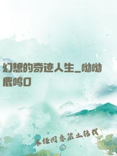 幻想的奇迹人生