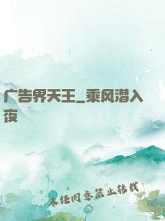广告界天王
