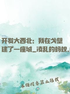 开发大西北：我在戈壁建了一座城