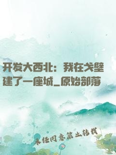 开发大西北：我在戈壁建了一座城
