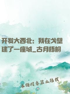 开发大西北：我在戈壁建了一座城