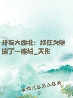 开发大西北：我在戈壁建了一座城