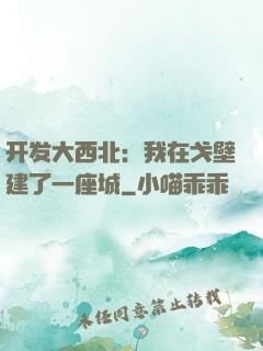 开发大西北：我在戈壁建了一座城