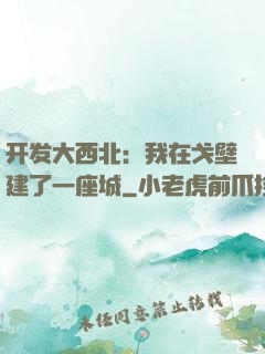 开发大西北：我在戈壁建了一座城