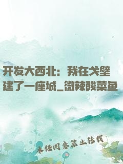 开发大西北：我在戈壁建了一座城
