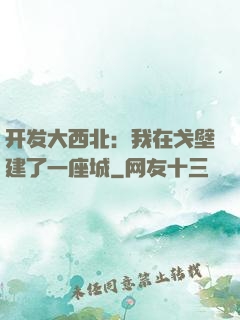 开发大西北：我在戈壁建了一座城