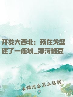 开发大西北：我在戈壁建了一座城