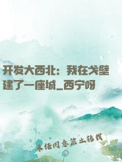 开发大西北：我在戈壁建了一座城