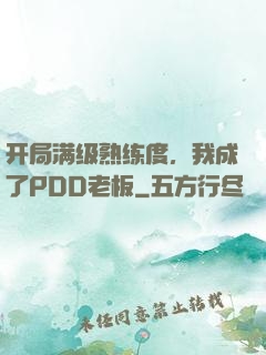 开局满级熟练度，我成了PDD老板