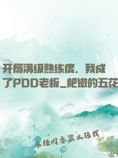 开局满级熟练度，我成了PDD老板