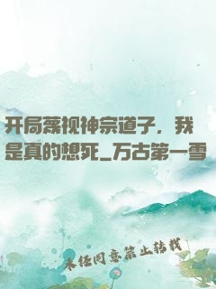 开局蔑视神宗道子，我是真的想死