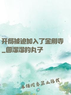 开局被迫加入了金刚寺