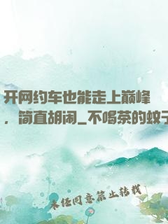 开网约车也能走上巅峰，简直胡闹