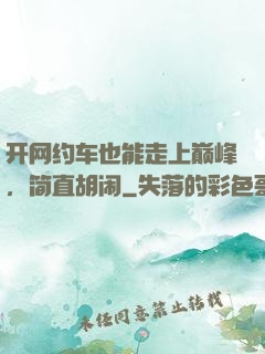 开网约车也能走上巅峰，简直胡闹