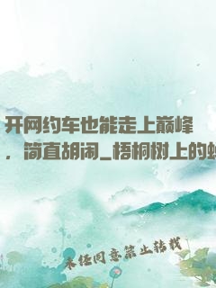 开网约车也能走上巅峰，简直胡闹