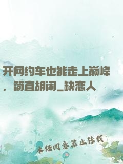 开网约车也能走上巅峰，简直胡闹