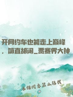开网约车也能走上巅峰，简直胡闹
