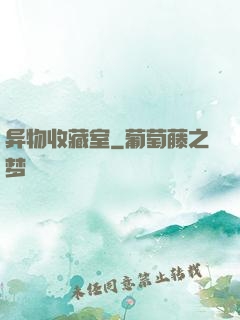 异物收藏室