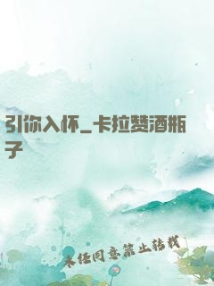 引你入怀