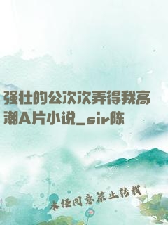 强壮的公次次弄得我高潮A片小说