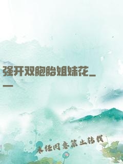 强开双胞胎姐妹花