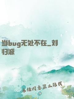 当bug无处不在