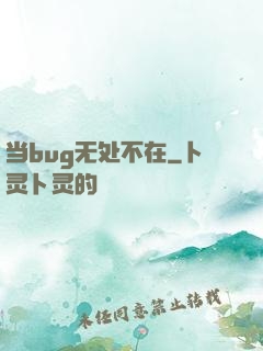 当bug无处不在