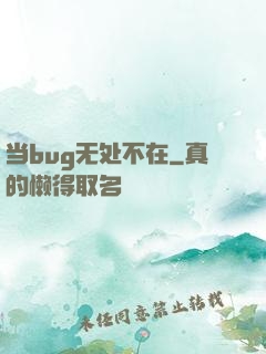 当bug无处不在