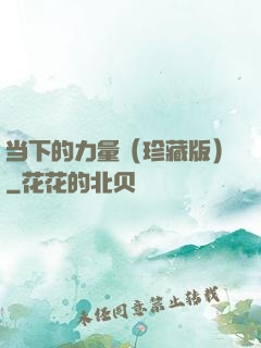 当下的力量（珍藏版）