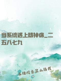 当系统遇上精神病