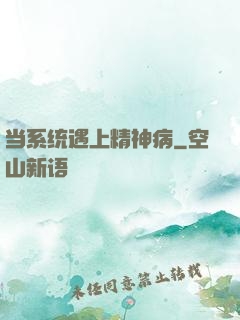 当系统遇上精神病