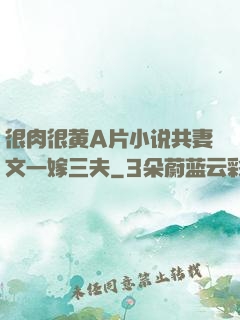 很肉很黄A片小说共妻文一嫁三夫