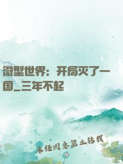 微型世界：开局灭了一国