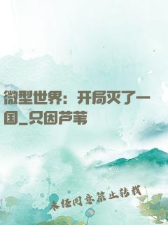 微型世界：开局灭了一国