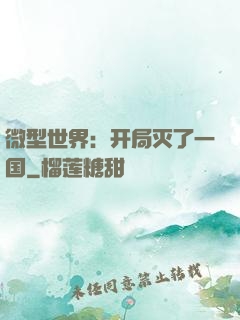 微型世界：开局灭了一国