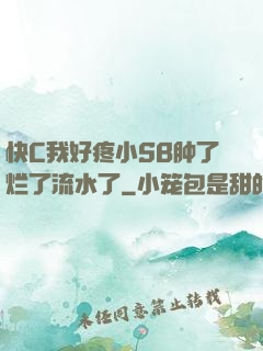 快C我好疼小SB肿了烂了流水了